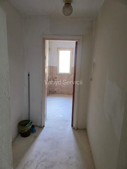 Lacul Tei  Teiul Doamnei  Colentina - 3