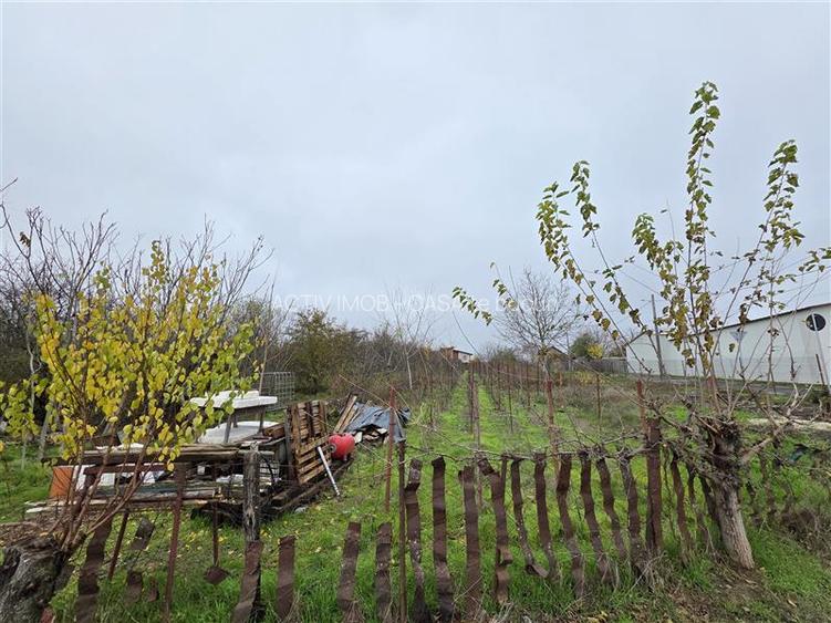 Teren Branesti - Str Oltului - 1600 mp - deschidere 16 ml - 2