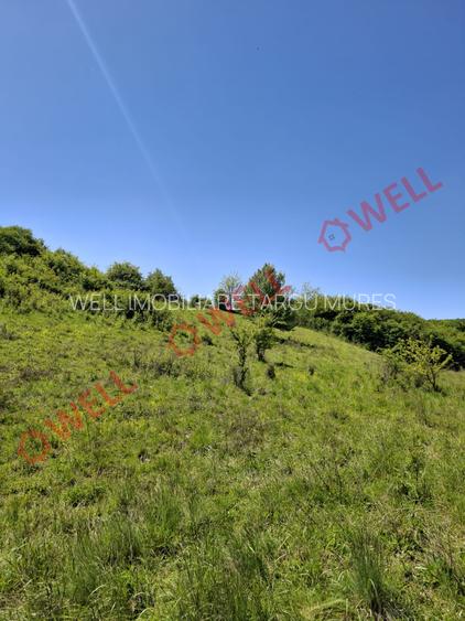 De vânzare teren intravilan de 30 000 m² (3 ha) în Reghin - 8