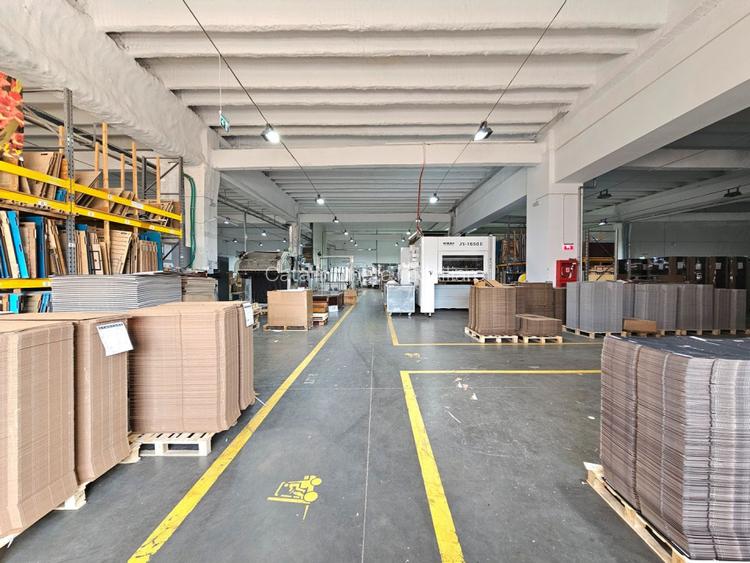 Hale Industriale 5065 mp de vanzare Str. Bradului - Bacau - 5
