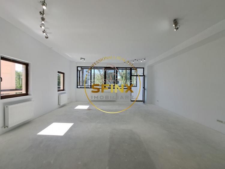 De inchiriat Spatiu Sisesti - Baneasa - 3