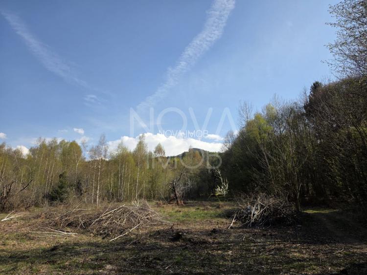 Teren intravilan de vanzare - Vistisoara - 7