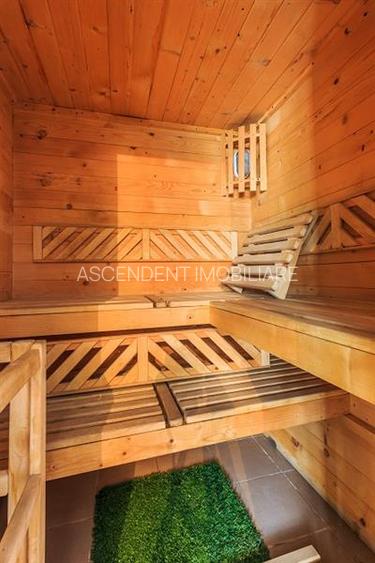 Hotel Bielmann,unicitate si profitabilitate optima in turism,Sanpetru, Brasov - 22