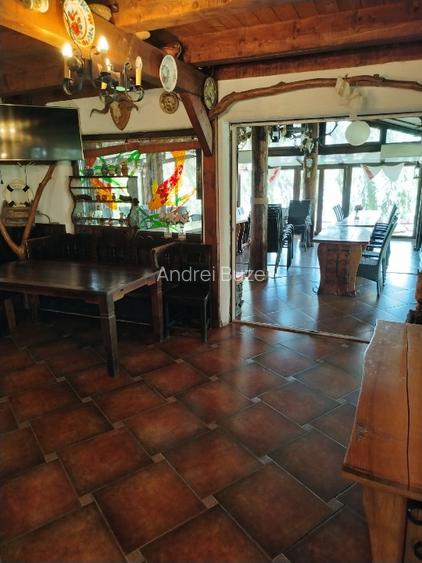Lac de agrement pentru pescuit – Proprietate completă, 8,1 ha | De vânzare - 6