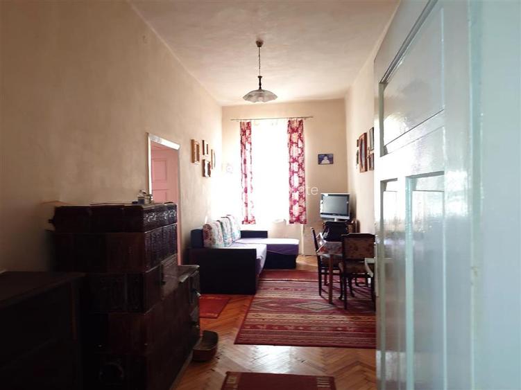 Casa cu aer nobil in Baia de Cris - 8