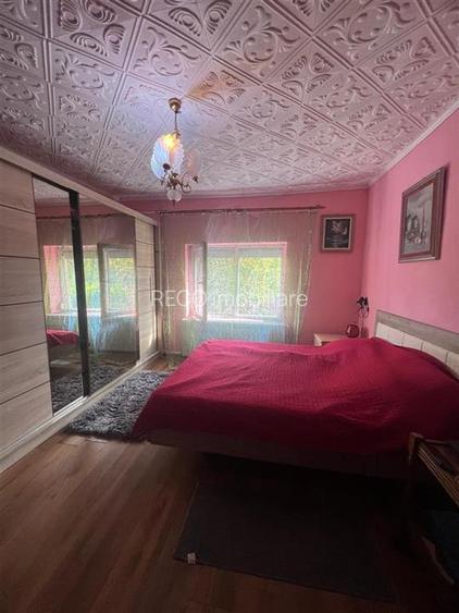 RECO, Casa cu 9168 mp teren intravilan, Sistera, Cetariu, Aproape de Oradea - 5