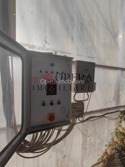 Teren intravilan 5000mp+Cladire265mp + Sera(2500mp), Rediu Aldei-Aroneanu - 2