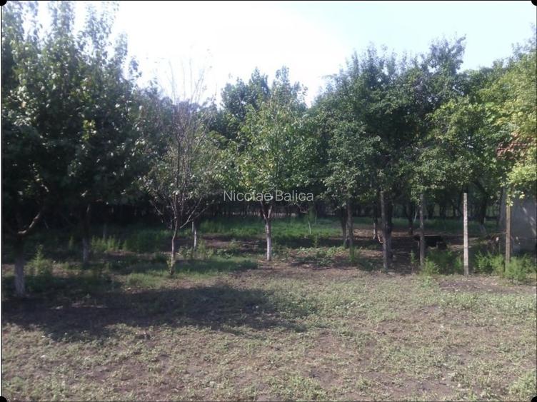 Casă + teren 2188 mp aproape de Lacul Gălățui, Alexandru Odobescu, Călărași - 4