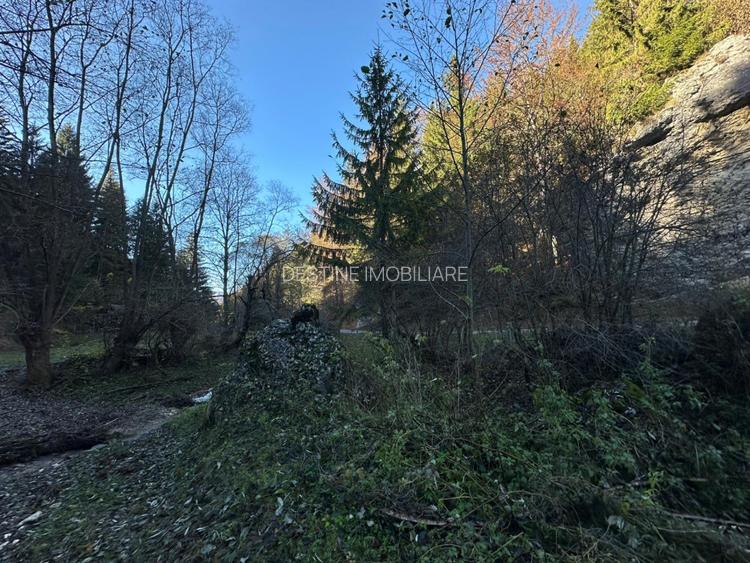Teren 2.882 mp – oportunitate investitie - Cheile Dambovicioarei - 12