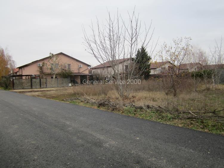 Drumul Targului-Stelelor - 5