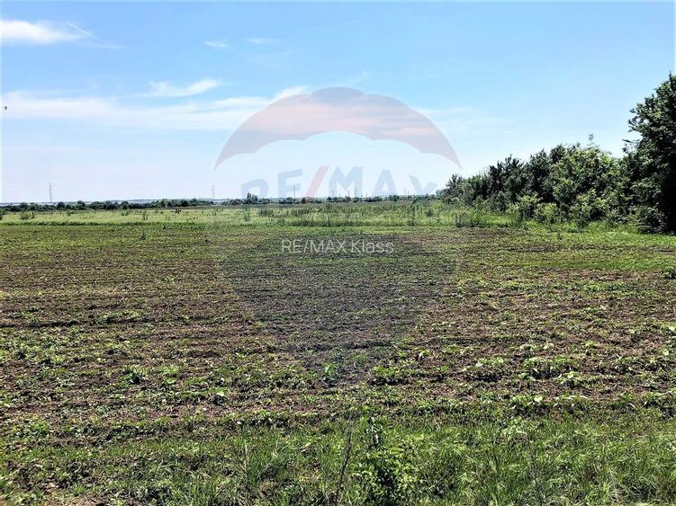 Teren  investitie/constructii industriale Pantelimon - 7