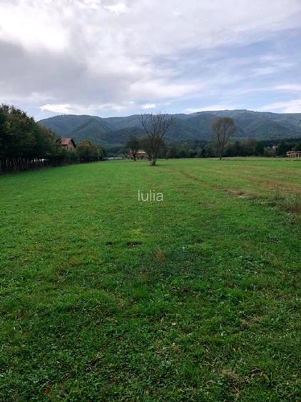 Teren intravilan in cartier Tocile comuna Sadu jud. Sibiu - 9