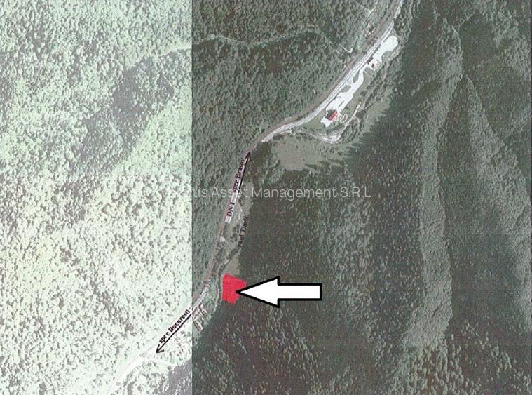 De vanzare teren intravilan 4.500 mp, Timisul de Jos, langa DN1 si PETROM - 7