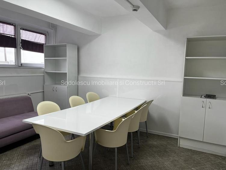 Spatiu industrial productie/ depozitare, Timiș - 36