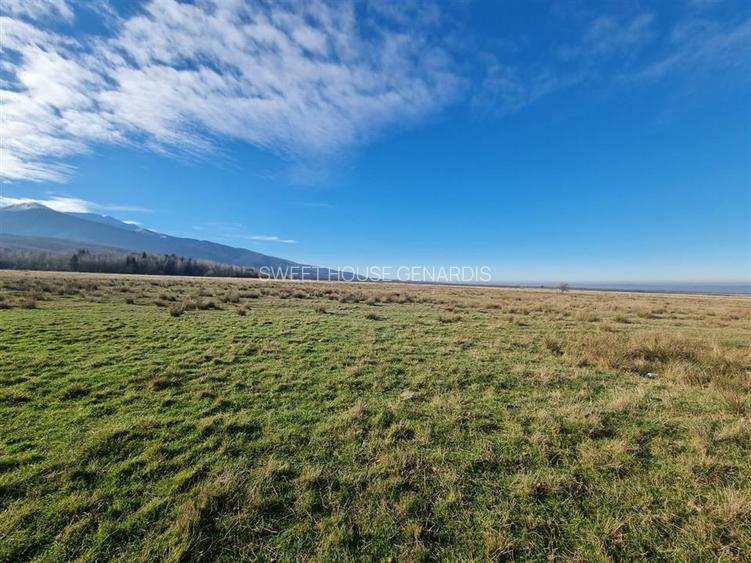 Teren de vanzare in satul de vacanta Dejani - 13