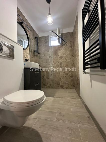 Apartament 2 camere de vanzare Drumul Taberei - Raul Doamnei - 5