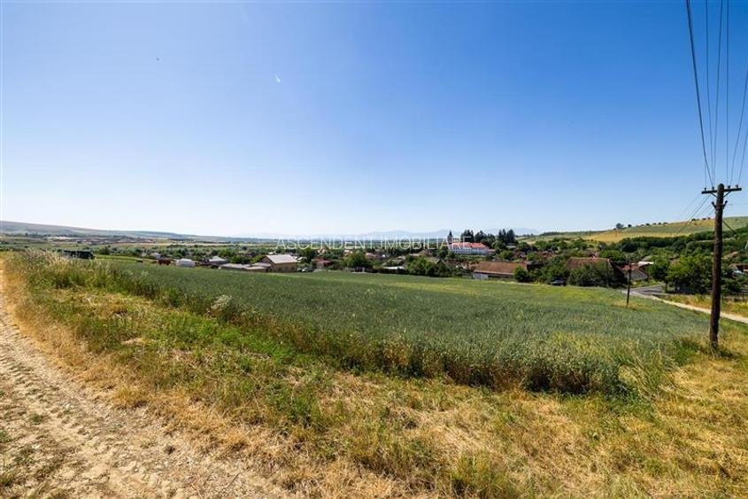 6 loturi casa Maierus,1.375mp,langa DN13, Doripesco,Brasov: 35min, zona verde:FI - 2