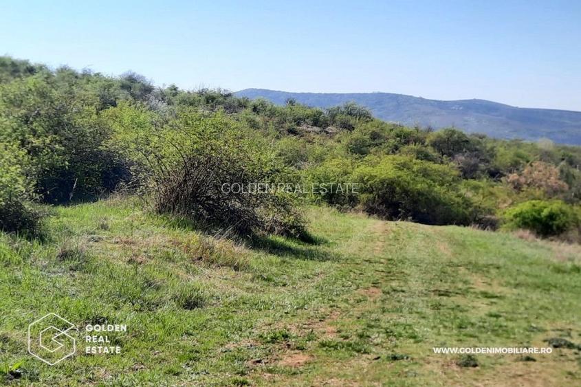 Teren intravilan Valea Domneasca,  localitatea Ghioroc - 3