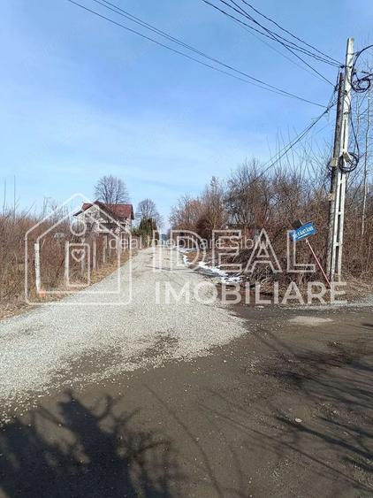 Teren 25.500 mp Valea Avrigului - 2