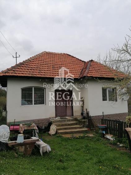 Casă de vânzare în Cerisor – liniște, natură și teren generos! - 2