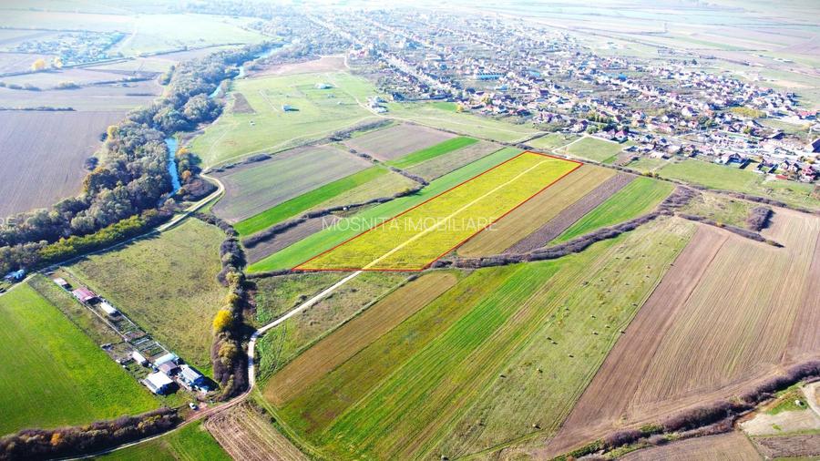 Terenuri Remetea Mare, cu toate utilitatile garantate - 69euro/mp+TVA - 8