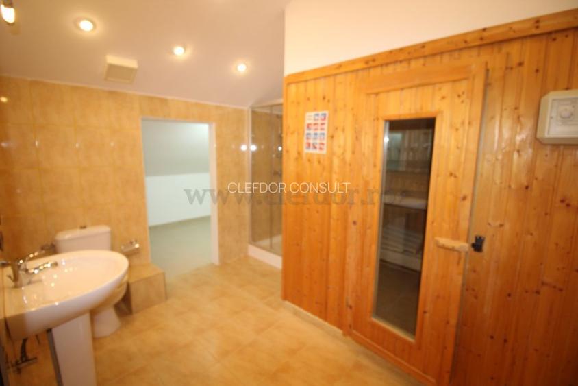 Vila Individuala de Inchiriat in Zona Iancu Nicolae - 13