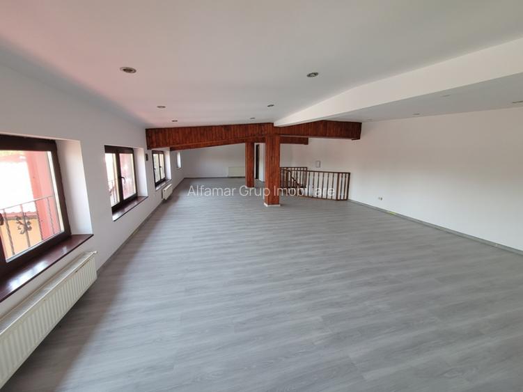 Casa individuala, ideala sediu firma Rahova- Teius - 19