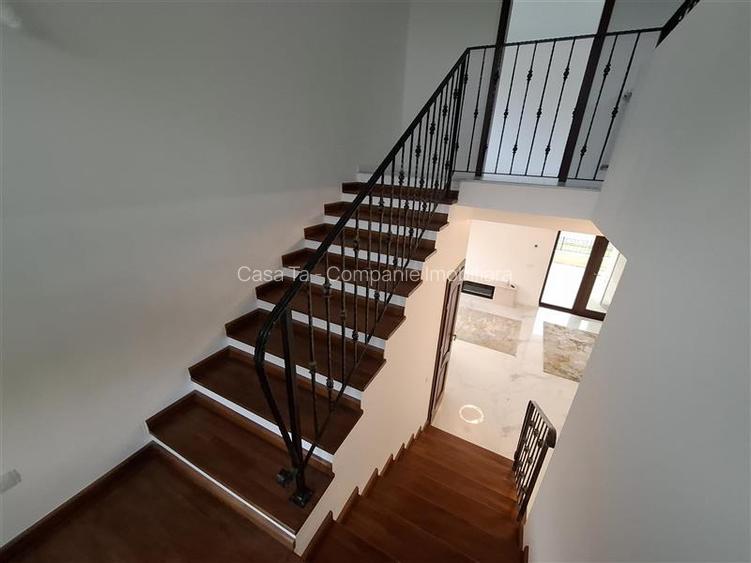 Vila deosebita Popas Pacurari - 13