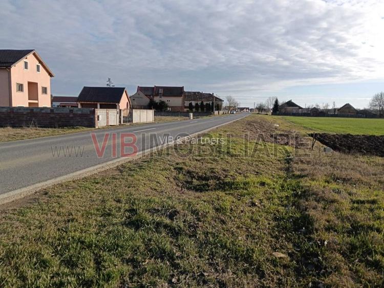 Teren intravilan investitie, urbanism rezidential si dotari, Bucovat - 3