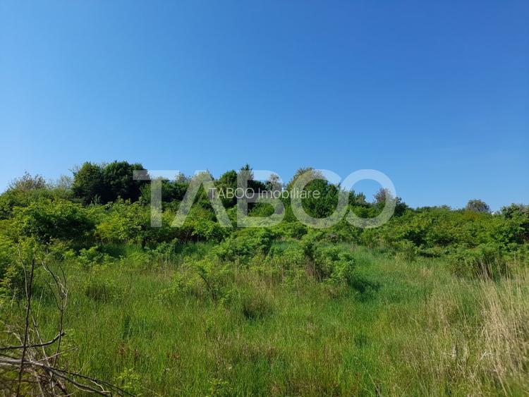 Teren de vanzare 4500 mp in centrul comunei Hamba judetul Sibiu - 3