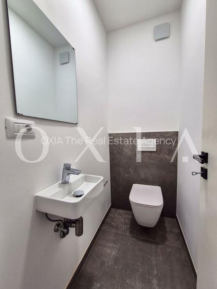 AX1068 Dumbravita, Bulevardul Petre Tutea, Prima Inchiriere - 16