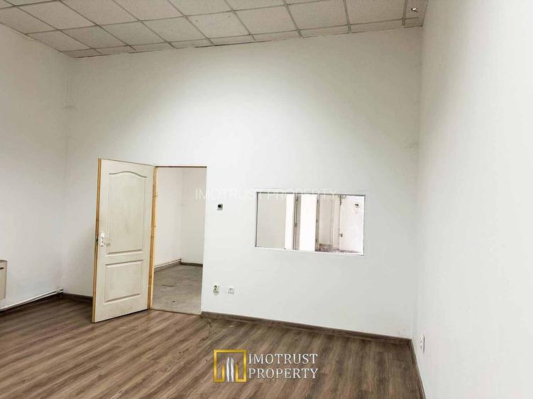 HALA INDUSTRIALA DE INCHIRIAT  338 MP, ARAD - 6