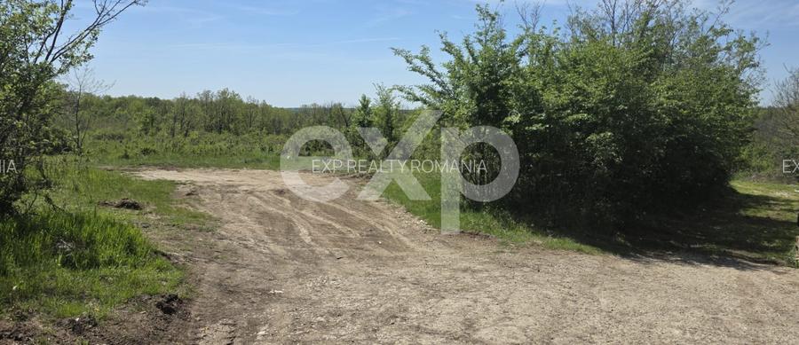 Teren 3015 mp Moșoaia | Zonă liniștită lângă pădure | Ideal casă | 16,9 €/mp - 4