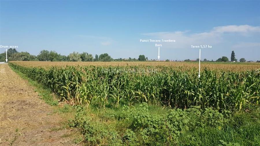 TEREN INDUSTRIAL CU PUZ | 5,2 HA | BORS - ORADEA - 7