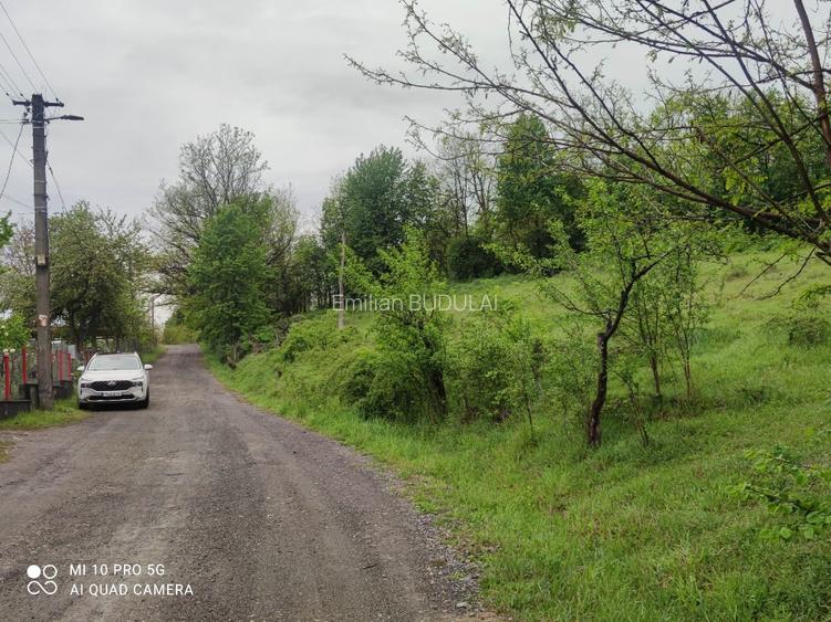 Teren intravilan 4383 Brad Hd.,poziție excelentă, utilități complete, priveliște - 2