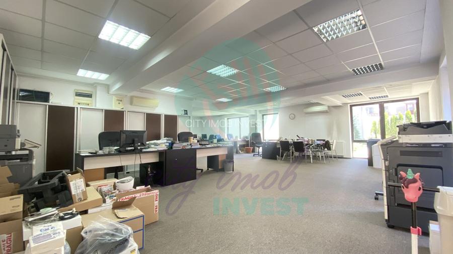 Spațiu de Birouri Modern, Cișmigiu - 3