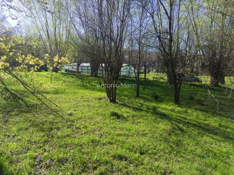Teren intravilan com.Drajna, sat Cătunu, 12 km de Vălenii de Munte, jud. Prahova - 5