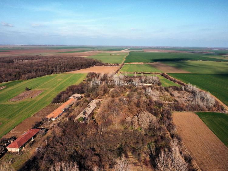 Ferma si livada de meri in judetul Ilfov - 21