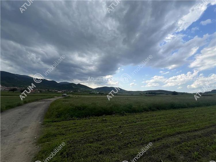 Teren intravilan de 3477 mp cu deschidere de 35 m in Boita - 3