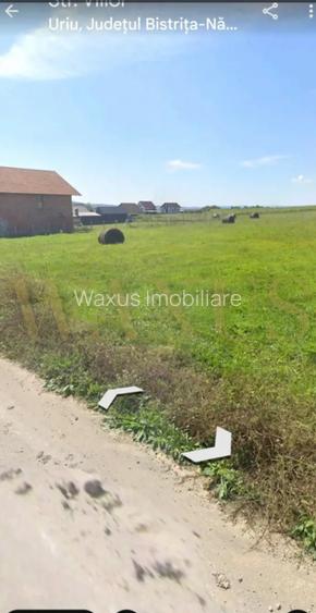 Teren Intravilan , Constructie Casa, Uriu , zona in plina dezvoltare - 2
