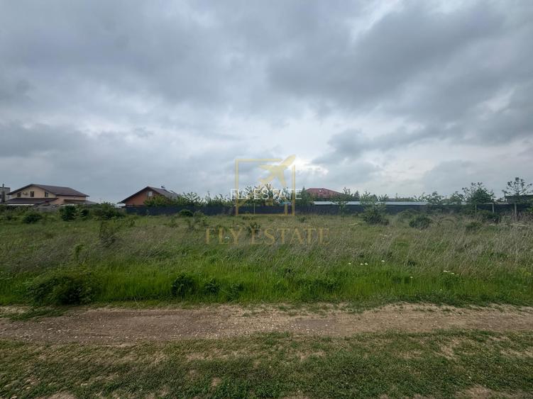 Teren Intravilan | Domnesti - 3