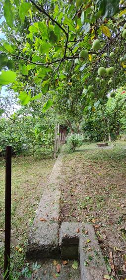 Vand casa D+P zona Aurel Vlaicu - 3