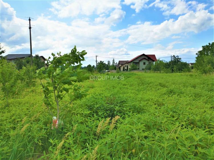 Teren constructii, cu utilitati. - 4