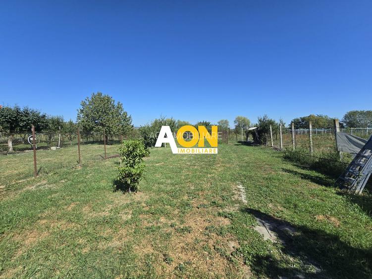 Casa 5 Camere 1700mp Teren, 10km de Alba Iulia - 23