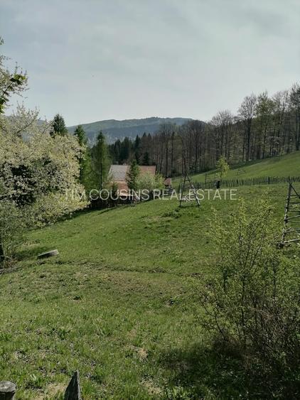 Vanzare teren exceptional, Valea Doftanei, Florei-Secaria, 22000mp, 250 000 euro - 6