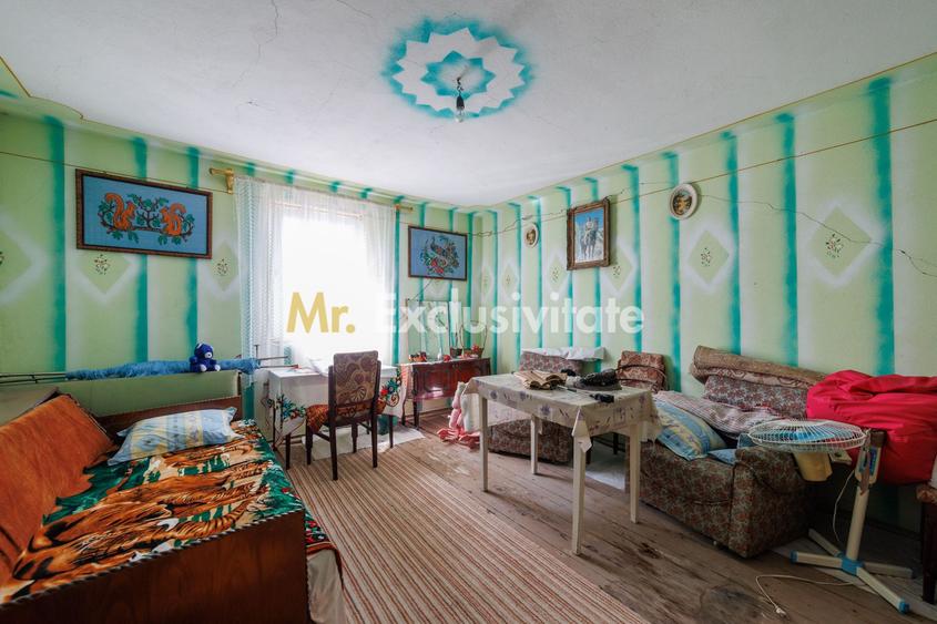 CASA SI GOSPODARIE DE VANZARE – SPINENI, OLT | 4.000 MP TEREN