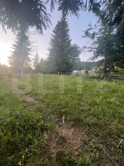 Teren intravilan parcelabil de vânzare – Colibița