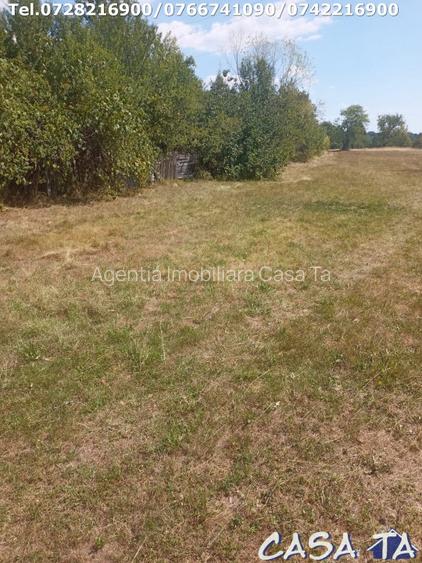  Teren Intravilan, situat in Sat Tismana (zona Gornovita) - 9