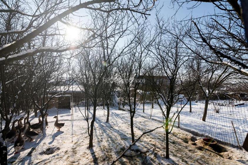 RECO . Casa in Cetariu cu teren generos 1600mp - 22