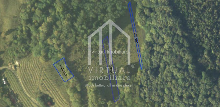 Teren extravilan de vanzare pentru Cabana, Zona Sarba Sura Mare - 2